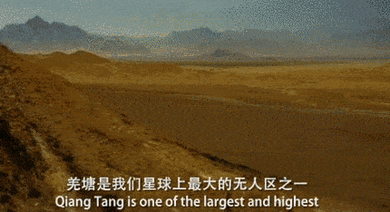 也就是说一旦迷失了方向,你就只能在广袤无边的风雪中自生自灭.