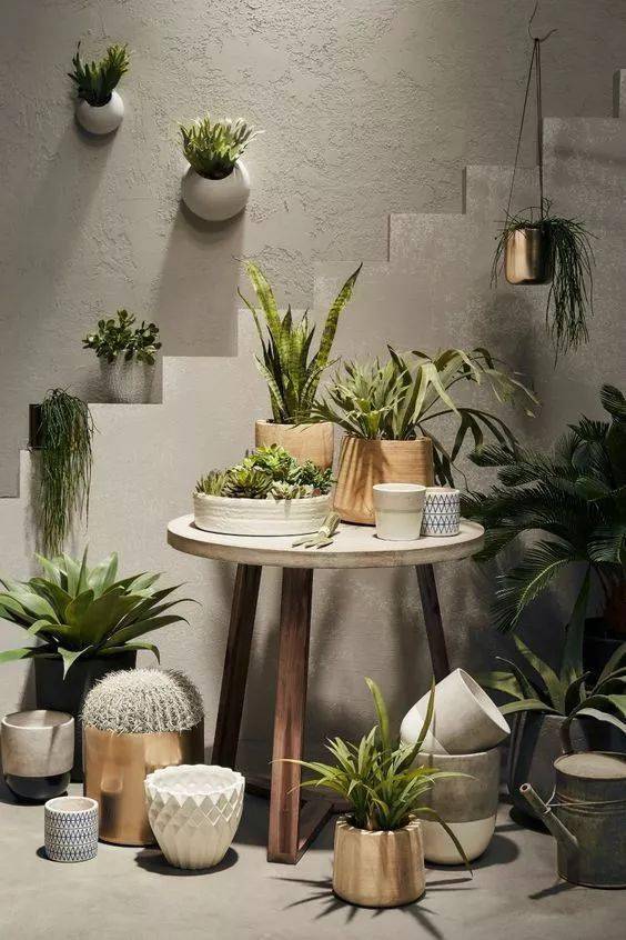 结构|家再小，也能建造的这些小花园！