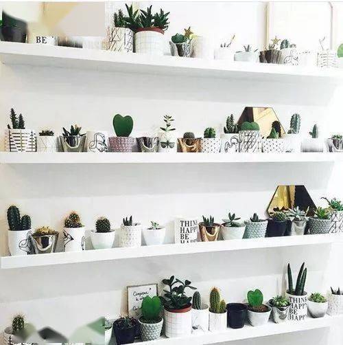 结构|家再小，也能建造的这些小花园！