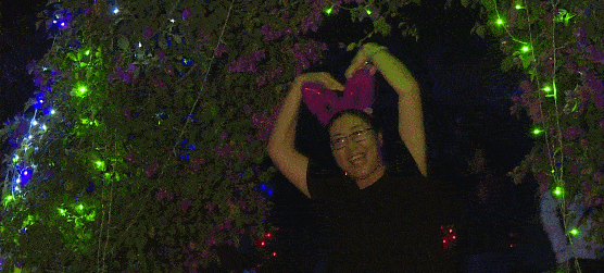 北极之光,时光隧道,玉兔,月球……崇明