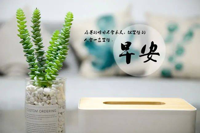 清晨分享最走心的早安心语 特别珍贵的早安阳光句子合集