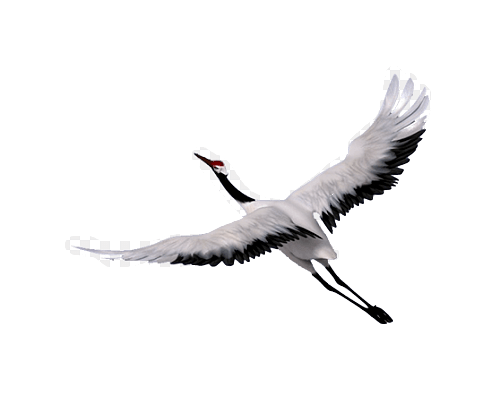 密室|各路明星纷纷打卡的国潮『神仙密室』，处处霸屏拍照区，你还在等啥？