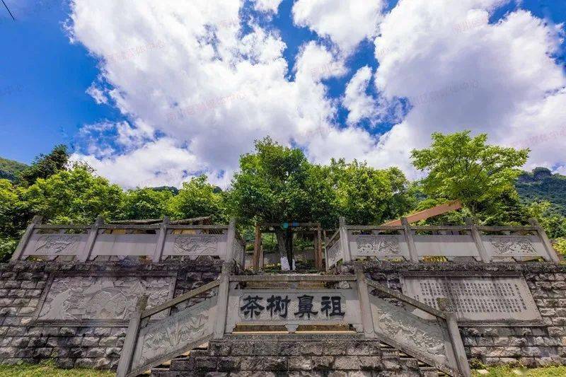 江西吉水县民间唢呐锣鼓曲谱