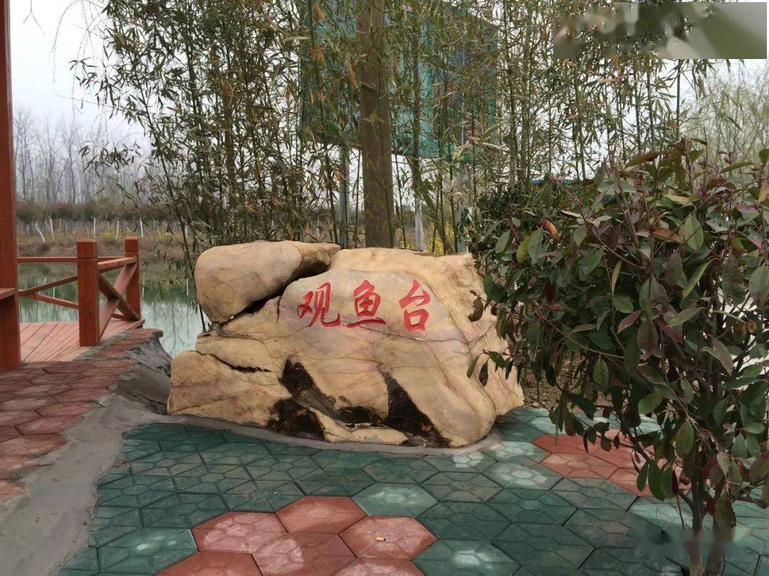 利辛赵姓人口_利辛一中图片