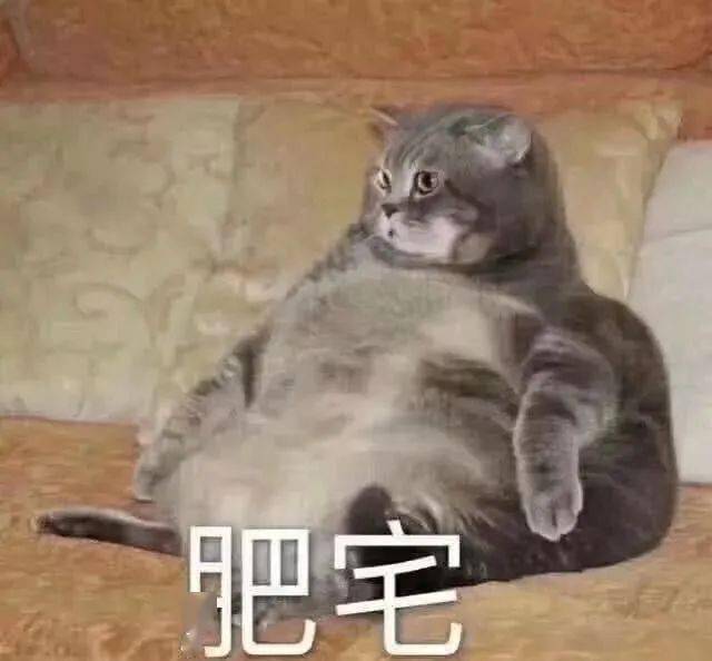 d4ed47d65aea46f1a5128c7f0abc5523.jpeg
