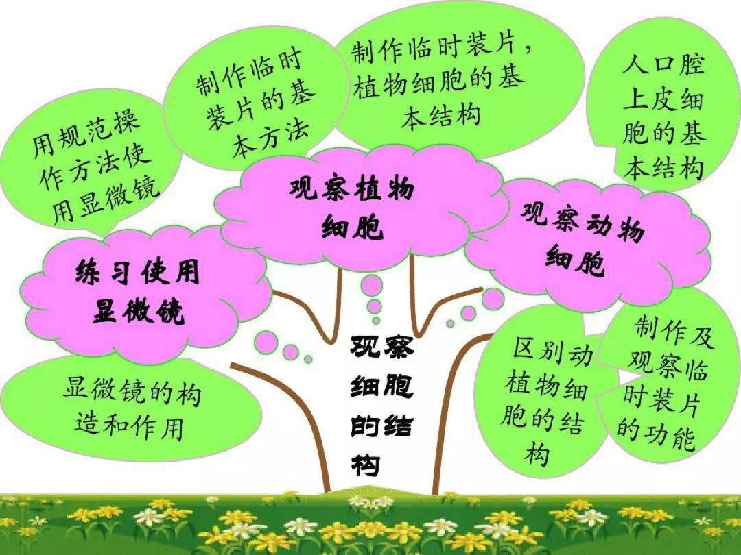 Untitled, image size:1080x810