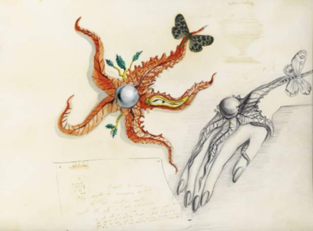 摄影|达利:疯狂的天才就是疯狂得无所不能