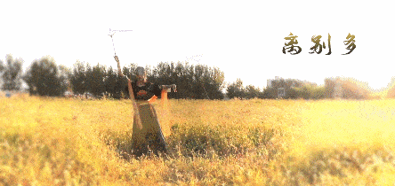 仙女|这是一个有舞蹈功底在身上的小仙女~