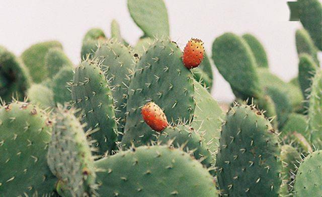 黑眼圈|430年的马应龙放大招,八宝古方做的眼霜,眼纹淡了