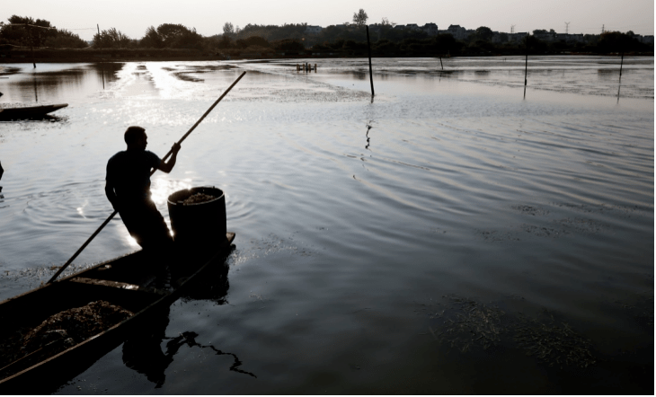 平价|大闸蟹平价史