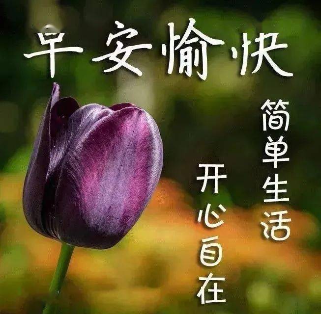 中老年表情包,相遇最美,友谊可贵,感谢有你!