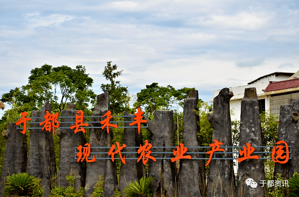 于都禾丰大湾村多少人口_于都禾丰圩