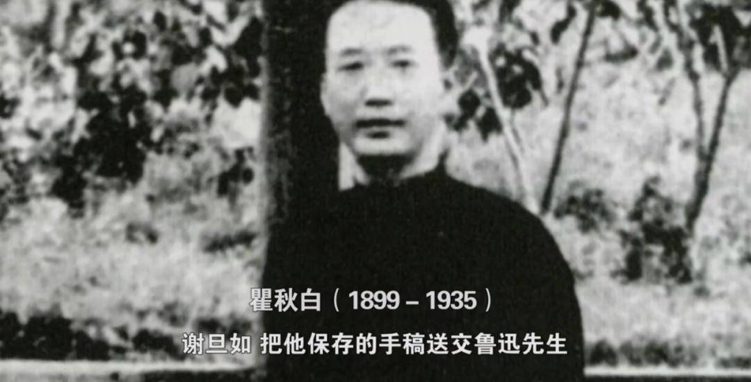 大上海 文稿赏阅 四 红色革命的策源地 ,自由之路的起点