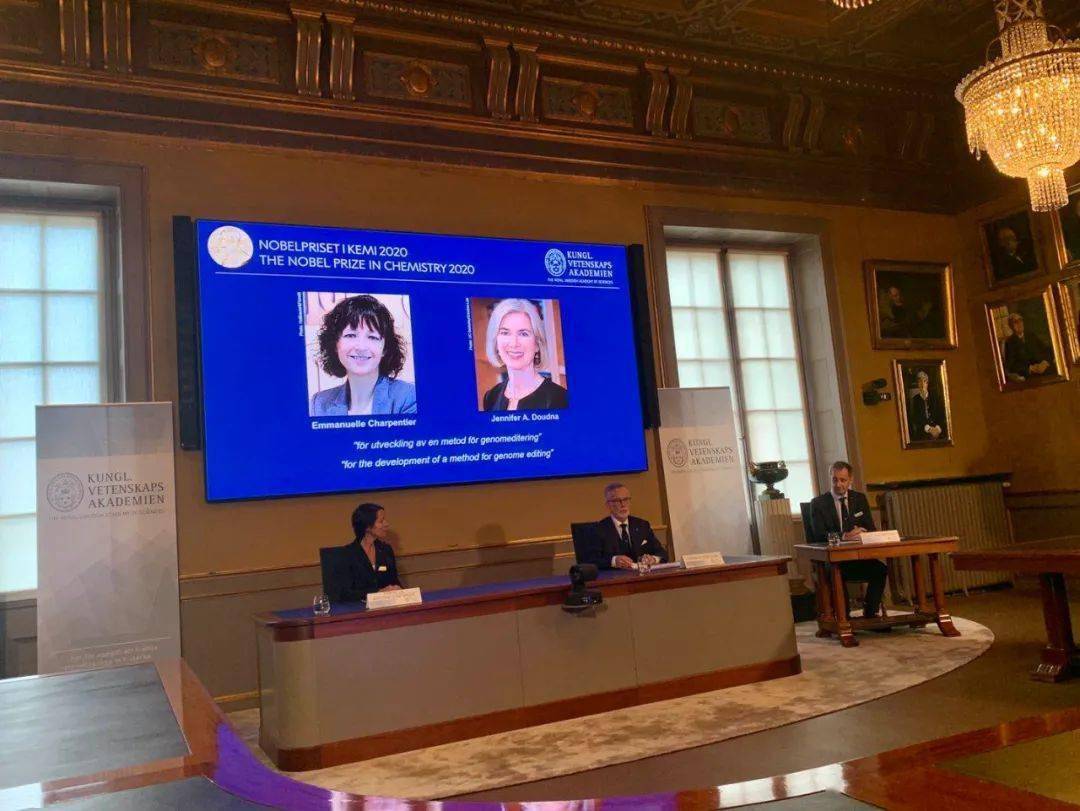 检测|诺贝尔化学奖来了！两位“女神”登顶，发现高效基因编辑技术；A股基因板块市值已超万亿…