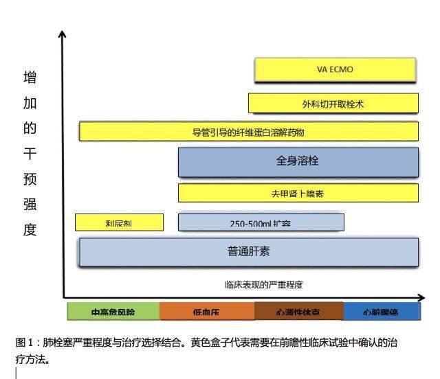 治疗|知识更新：严重肺栓塞的进展