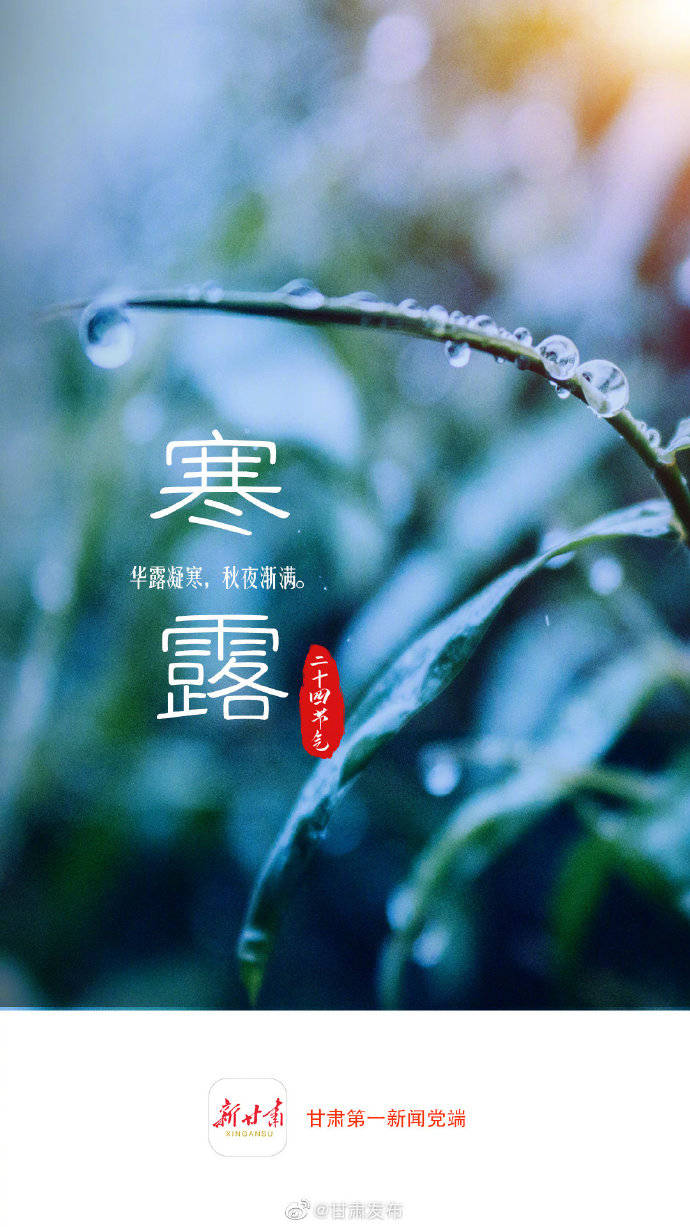 微海报丨二十四节气·寒露——华露凝寒 秋夜渐满