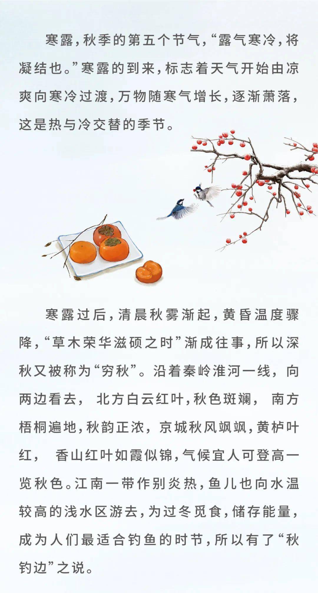 寒露的简谱_寒露简笔画
