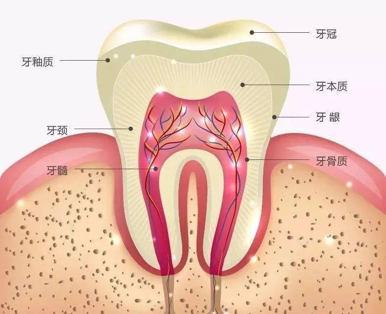 关晓彤|曾被全网嘲“土low”的关晓彤，摆脱ta后竟让人再也黑不起来，这才是该被捧在手心上的“国民闺女”啊！！！