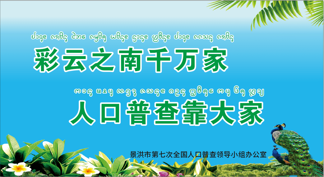 第七届人口普查意义_第七届人口普查图片