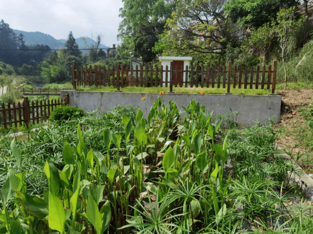 绿盈乡村 泉州市洛江区虹山乡苏山村:因地制宜,打造特色旅游_手机