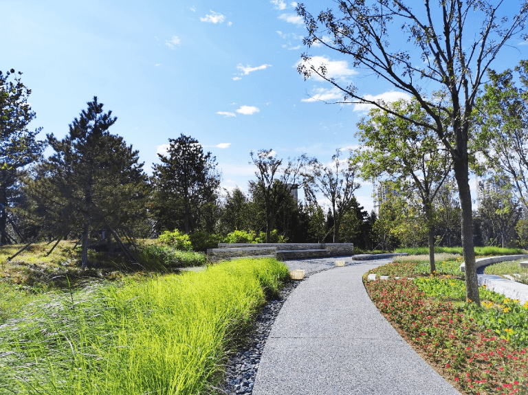 同衡助力建设北京城市副中心"城市绿心森林公园"