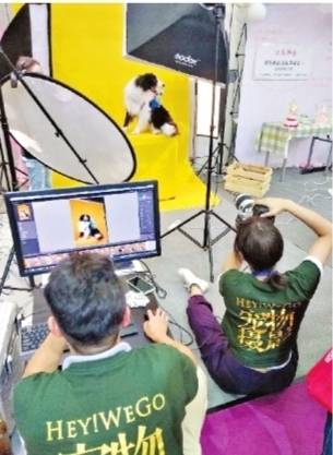 直播|这些新职业达人累并快乐着