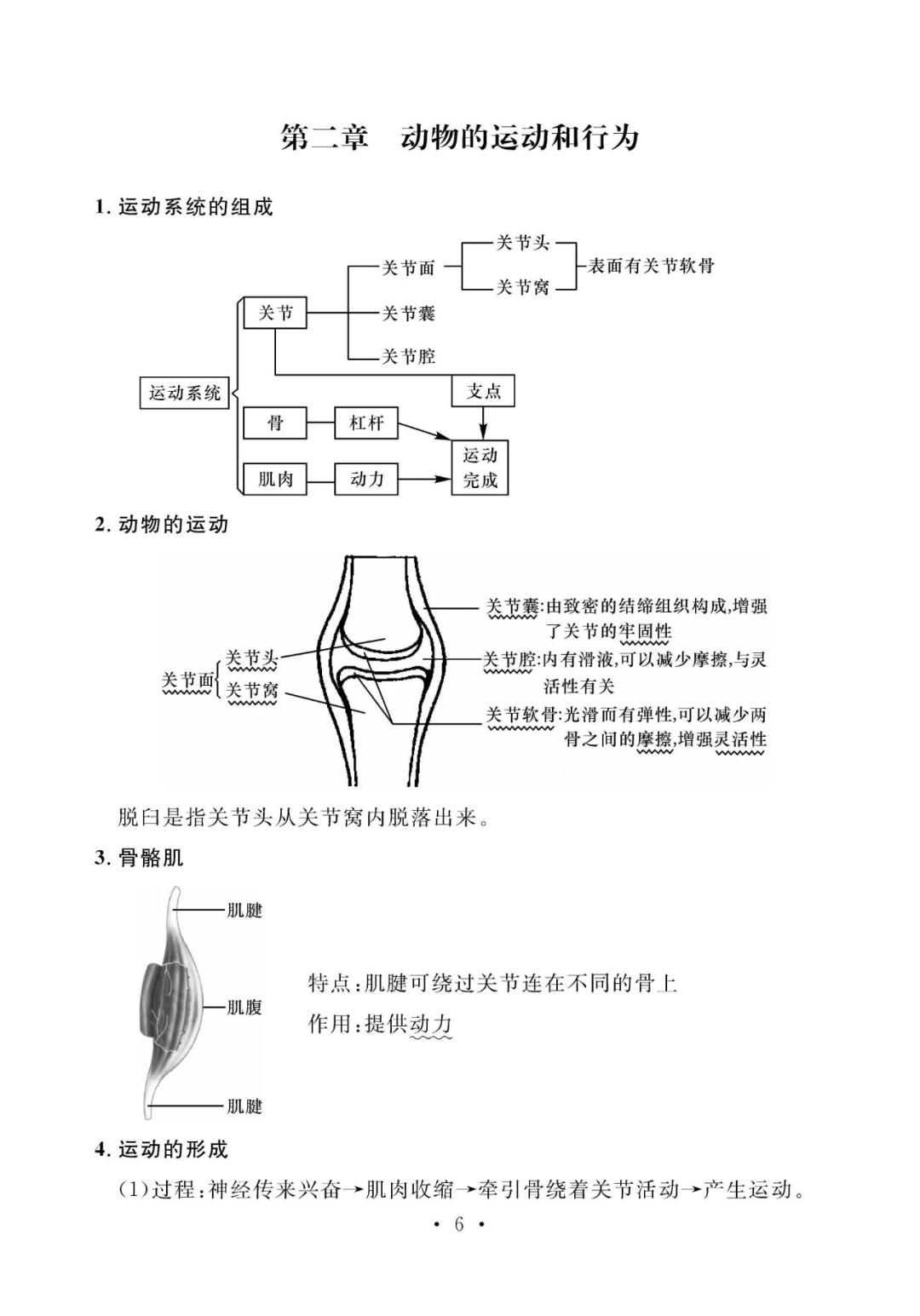 八年级生物基础知识点总结注意查收