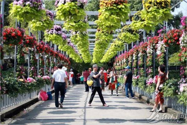 上海|国庆“邂逅”中秋，申城8天线上线下消费超1000亿元！