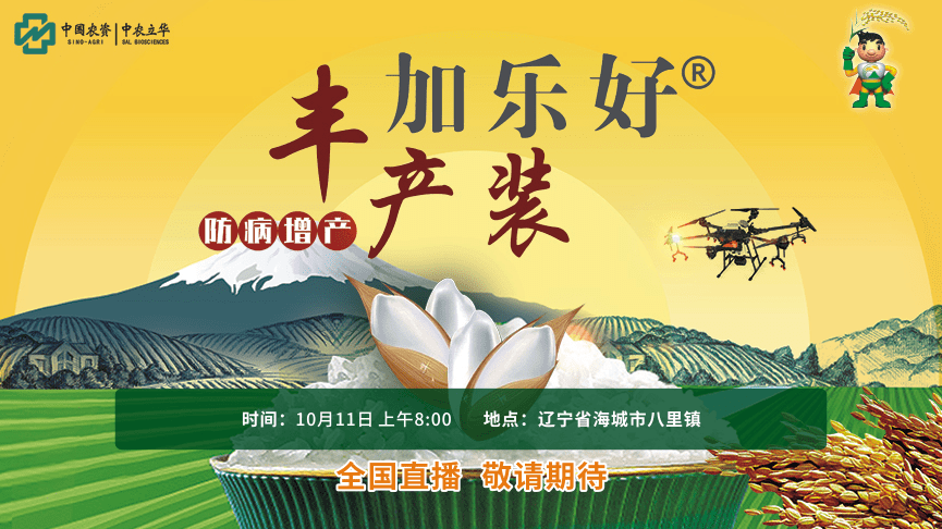 2020年海城市各镇gdp_海城市张海宽