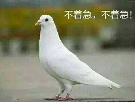 5726f8308bda4d4cbc992e64d3abdf6b.jpeg