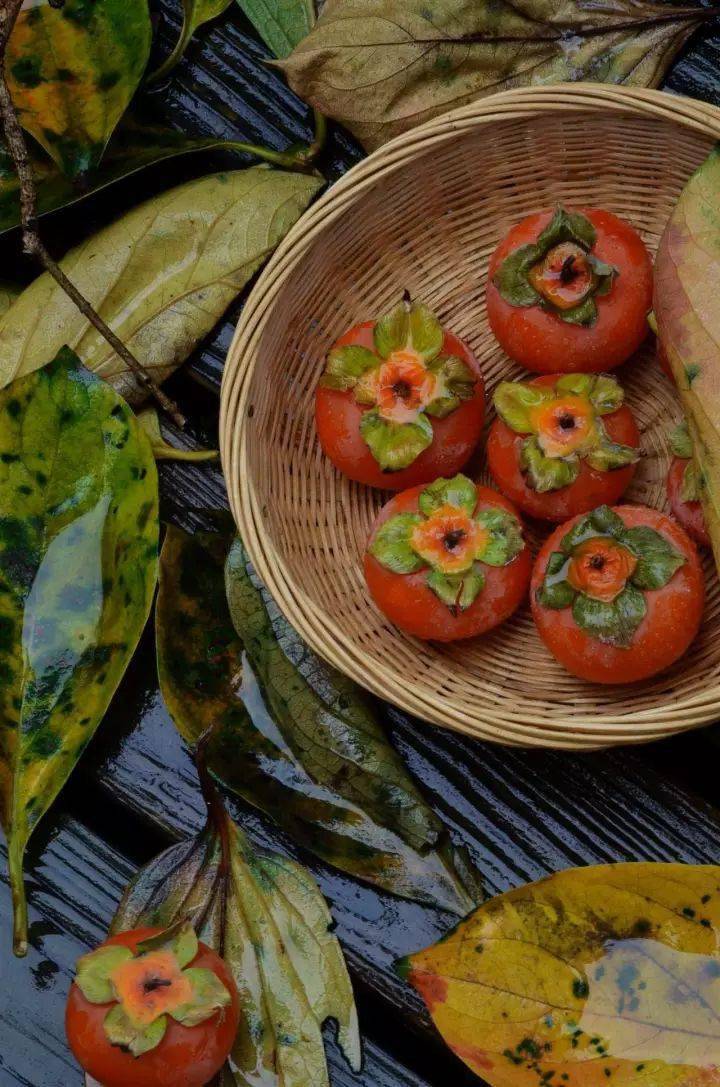 唐人段|柿子红了！柿柿如意！