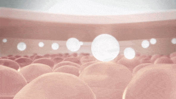 美感|40岁，她活出了高级的美感