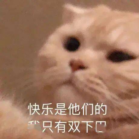 【沙雕猫表情包】橘猫沙梨表情包