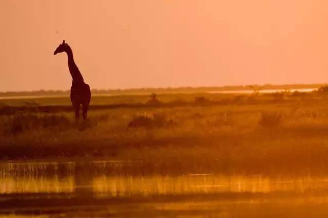 修养|成熟,是人一辈子的修养