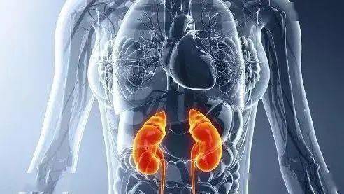 发展|得了肾病，离尿毒症还有多远？内科专家告诉你