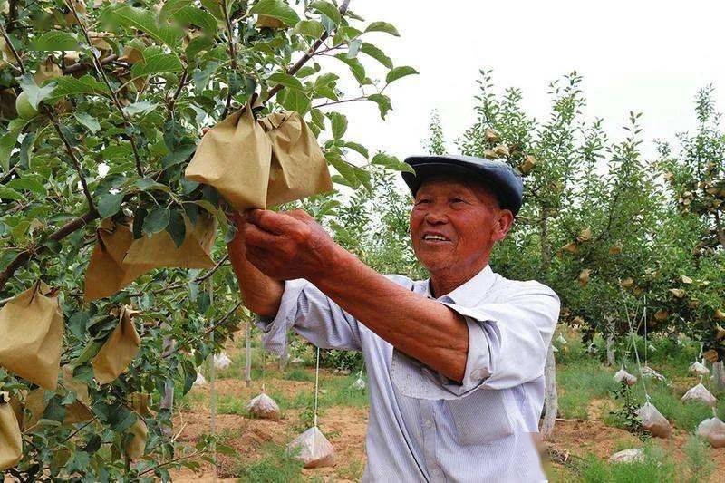 《我和我的家乡》也帮你看了!电影中的他,现实中的他们!原型素材!