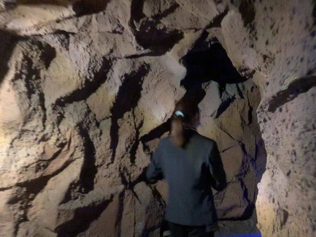 太离谱了，我被骗去看了西安最真的假兵马俑