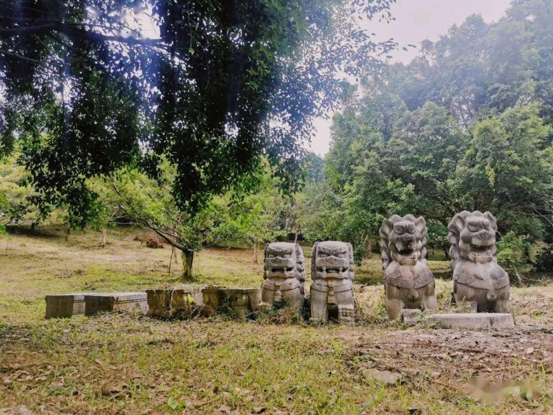 宾阳县多少人口_宾阳县人民医院图片