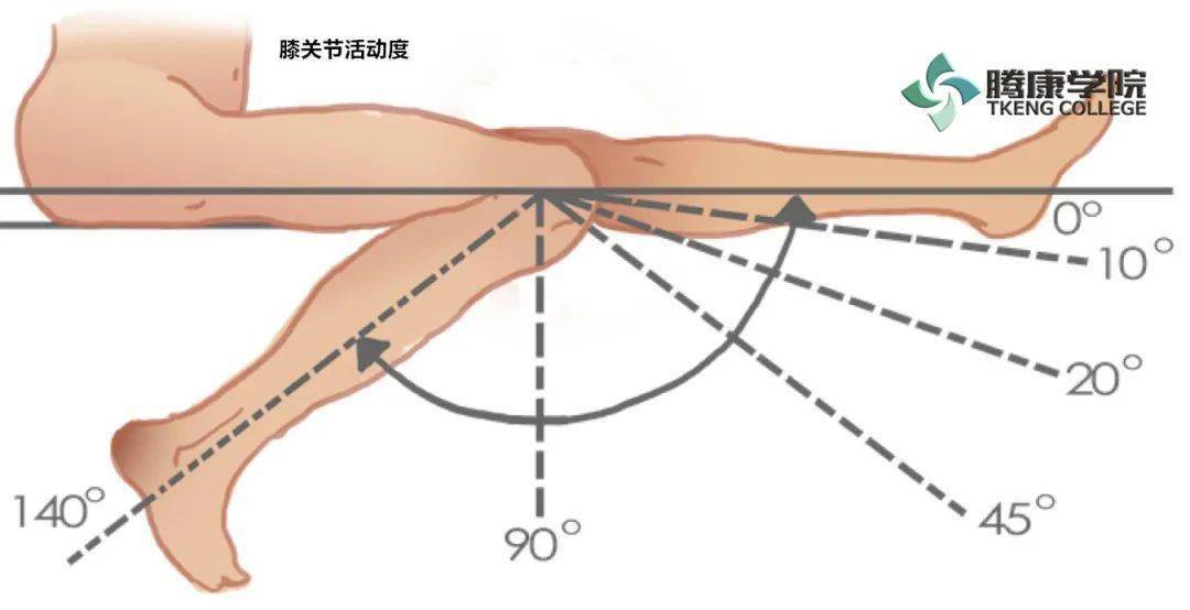 【线上问诊】膝关节特殊检查试验_手机搜狐网