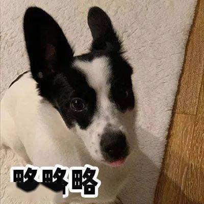 时尚|年度时尚美剧，我一天看完并爱上了全剧所有的男人！