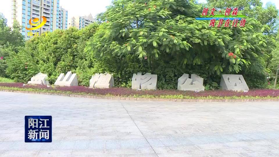 阳江金山植物公园:让你"森呼吸"的城市"绿肺"