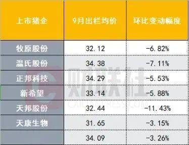 生猪价格下跌何时能反弹 8dad80eb925947828ef4db46209b3e90.jpeg