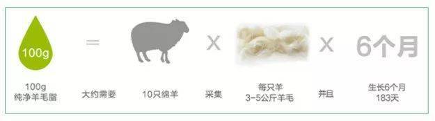 女人|懂得往脸上抹油的女人，还打个P玻尿酸！