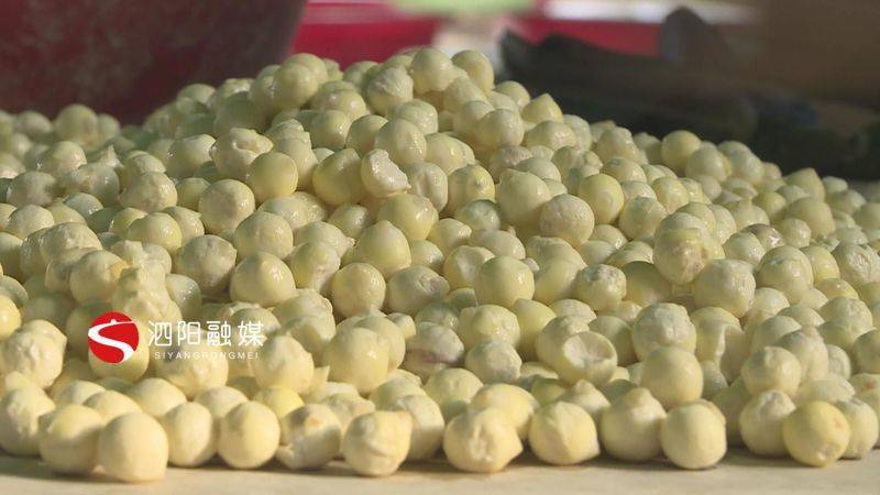 芡实喜获丰收秋日限定美味不容错过