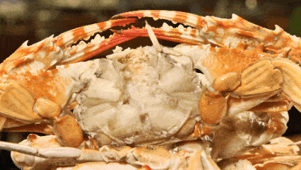 青口,皮皮虾,黄金玉带,熟白虾……石英蟹,招财蟹,白俄螺,雪蟹,阿根廷