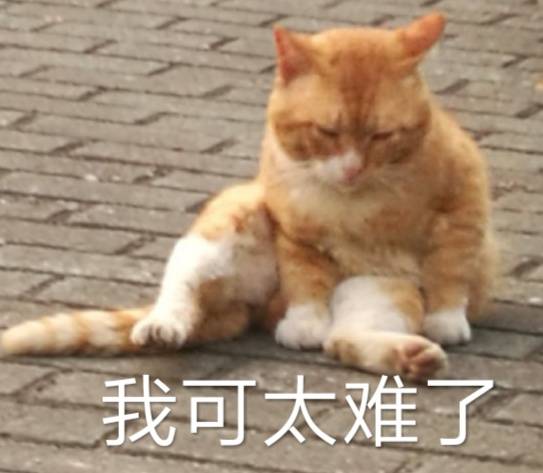 我是城管，我怕大家问我什么时候去收复钓鱼岛