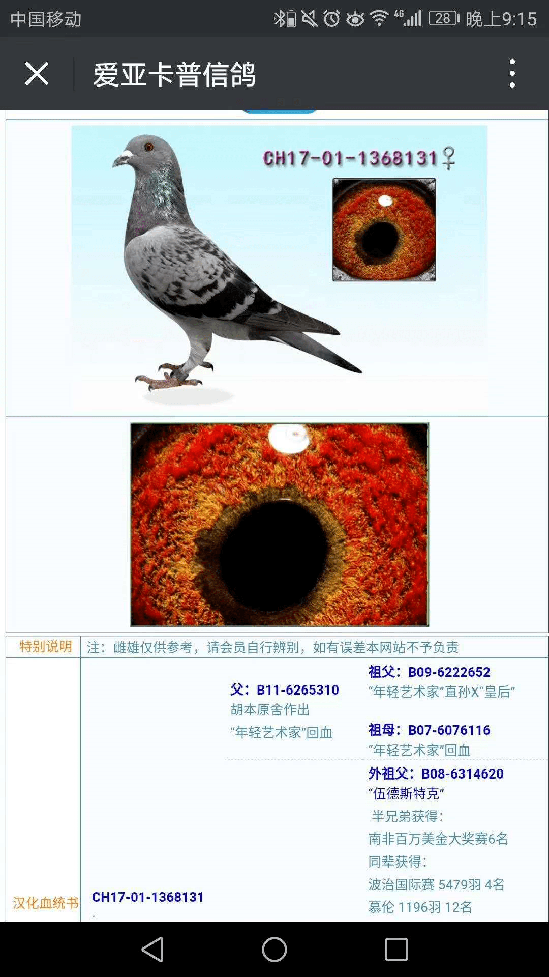 10d3726011b54949a26d041ab85249e2.png