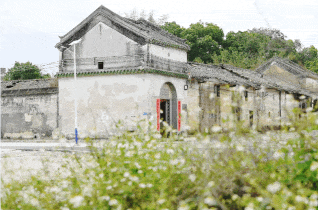 金秋十月来惠阳,邂逅乡村诗意生活_良井镇