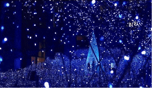 6b21e5b657a04965b5d8fbe6507fd93d.gif