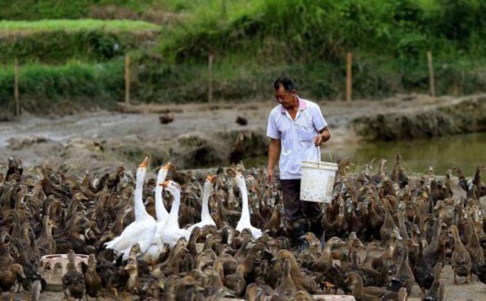 南郑县有多少人口_汉中一县城,有望“撤县设区”,人口超过50万